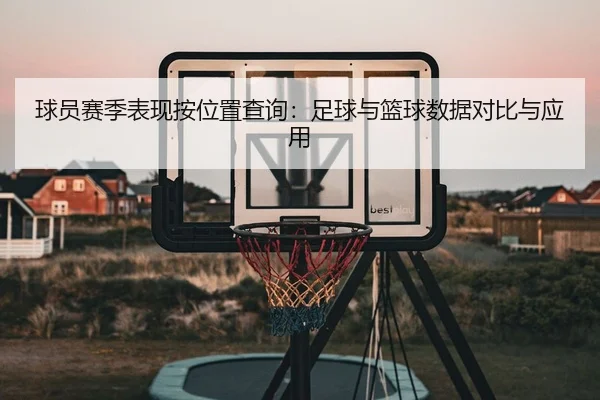 球员赛季表现按位置查询：足球与篮球数据对比与应用